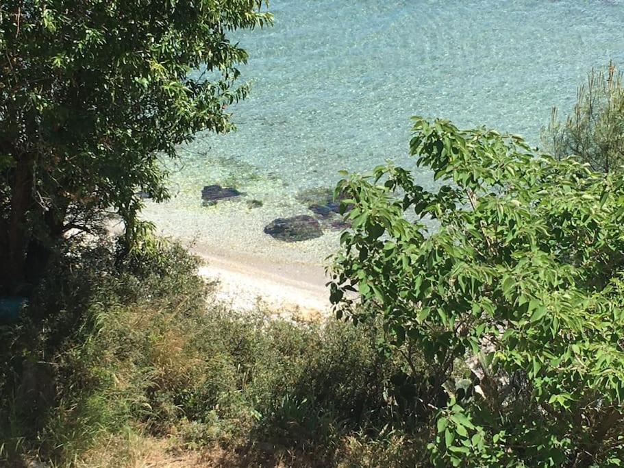 T3 Les Pieds Dans L'Eau Apartment Istres Exterior foto